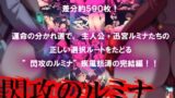 【熟女】 閃攻のルミナ 後編 〜淫らな雌獣のまぐわり〜 【d_103915】