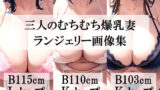 【熟女】 近所にいそうなたわわでムチムチ人妻の下着姿が一番ヌけるよね 【d_589893】