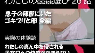 【熟女】 私の蟲姦遊び 26話 妊娠中に息子の部屋にいたゴキブリと卵編 【d_394632】