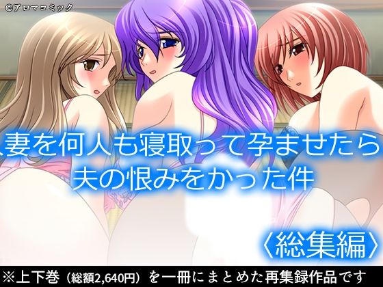 【熟女】 人妻を何人も寝取って孕ませたら、夫の恨みをかった件  ＜総集編＞ 【d_620366】