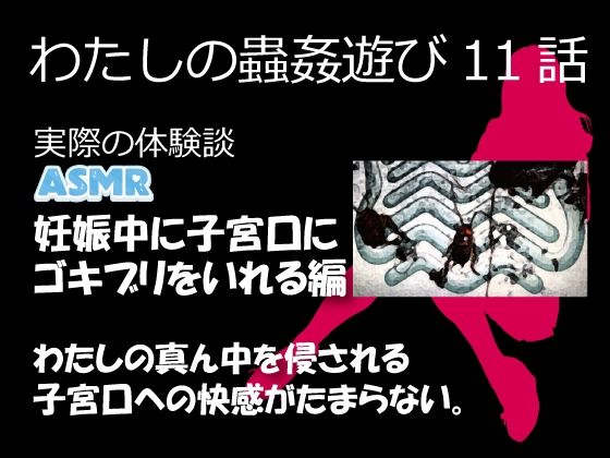 【熟女】 わたしの蟲姦遊び 第11話 妊娠中、子宮口にゴキブリを入れる編 音声（ASMR） 【d_632119】