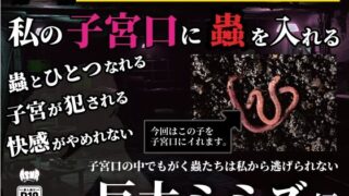 【熟女】 私の子宮口の中に蟲を入れる 第1話 巨大ミミズ編 【d_636648】