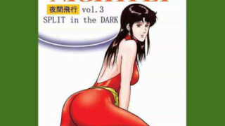 【熟女】 NIGHTFLY vol.3 【d_019304】