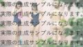 【熟女】 No.0002 市民プールのママさんたち  生成AIプロンプト 【d_657185】