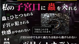 【熟女】 私の子宮口の中に蟲を入れる 第11話 百足（ムカデ）編 【d_636873】