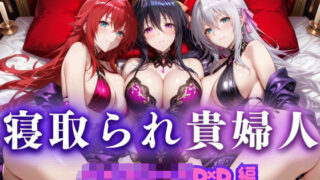 【熟女】 寝取られた上流貴族妻  邸宅の奥で抱かれる  〜令嬢は今宵、快楽に堕ちる〜  ハイ〇クールD×D編 【d_660814】