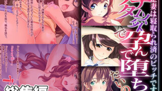 【熟女】 アナタ以外で孕んで堕ちたいの 〜清楚妻は寝取られ済のビッチです〜【CG集コレクション】 【d_338508】