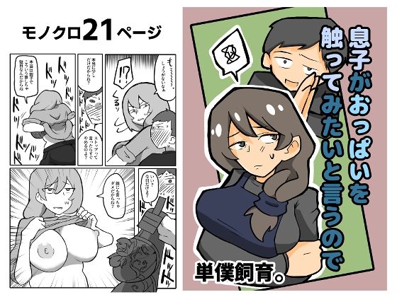 【熟女】 息子がおっぱいを触ってみたいと言うので。 【d_378164】